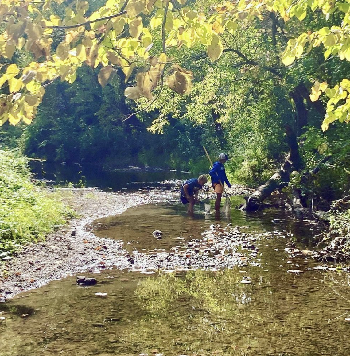 Forest School Newsletter – November 2022
