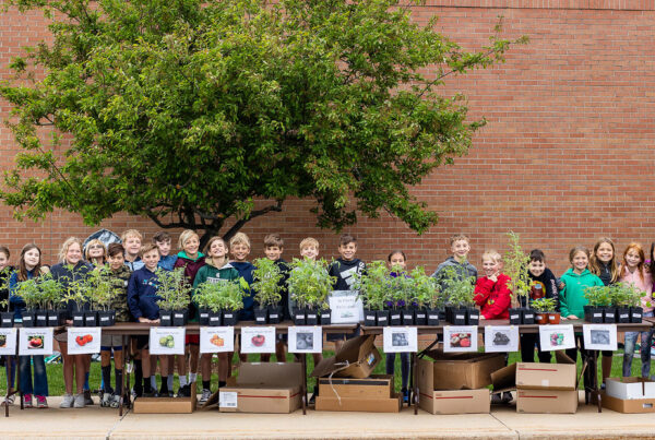 4th grade Rose Park students lined up behind their tomato plants ready to sell them to customers