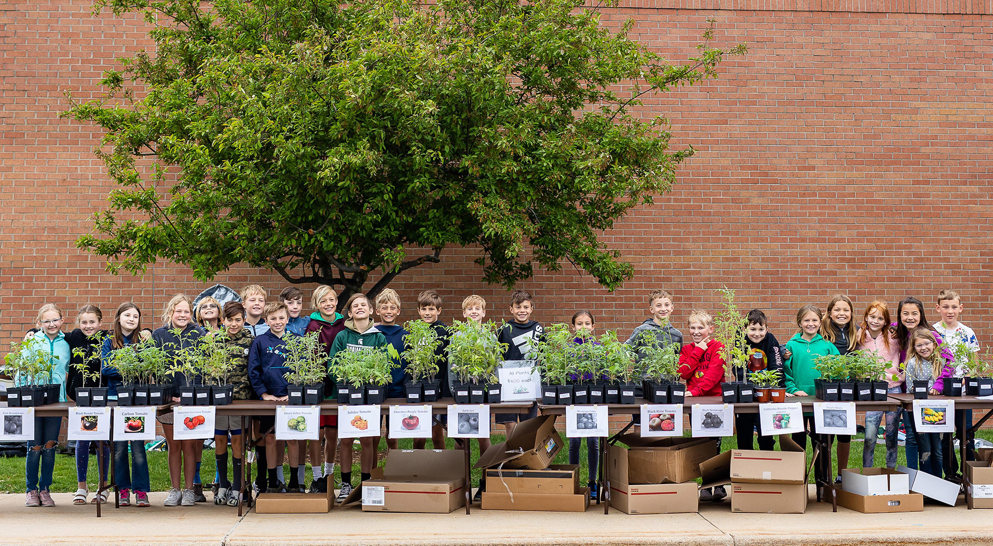 Rose Park Plant Sale