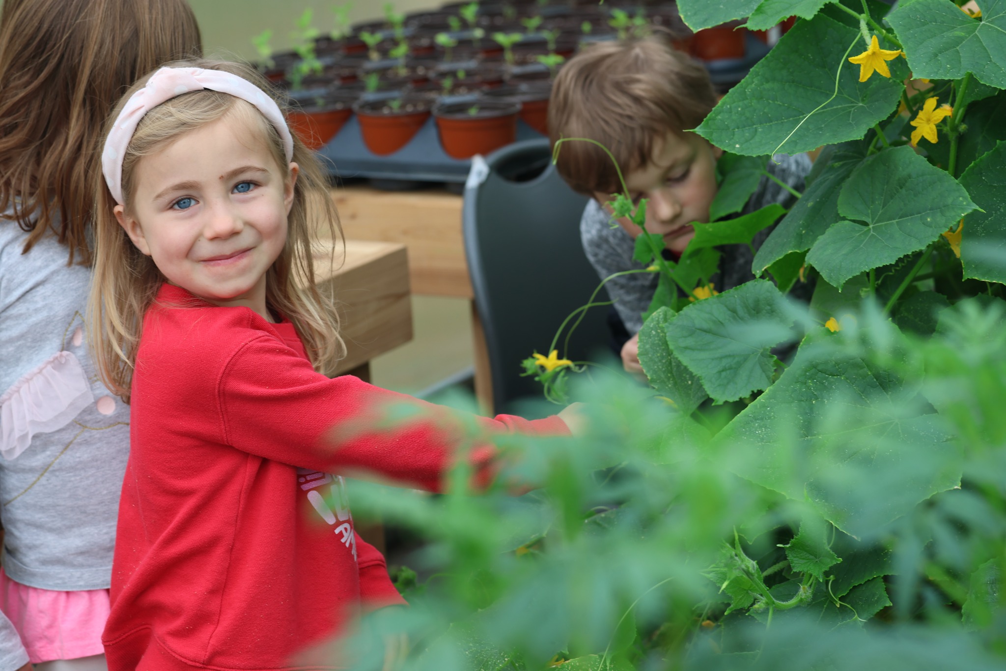 Rose Park Newsletter – June 2023