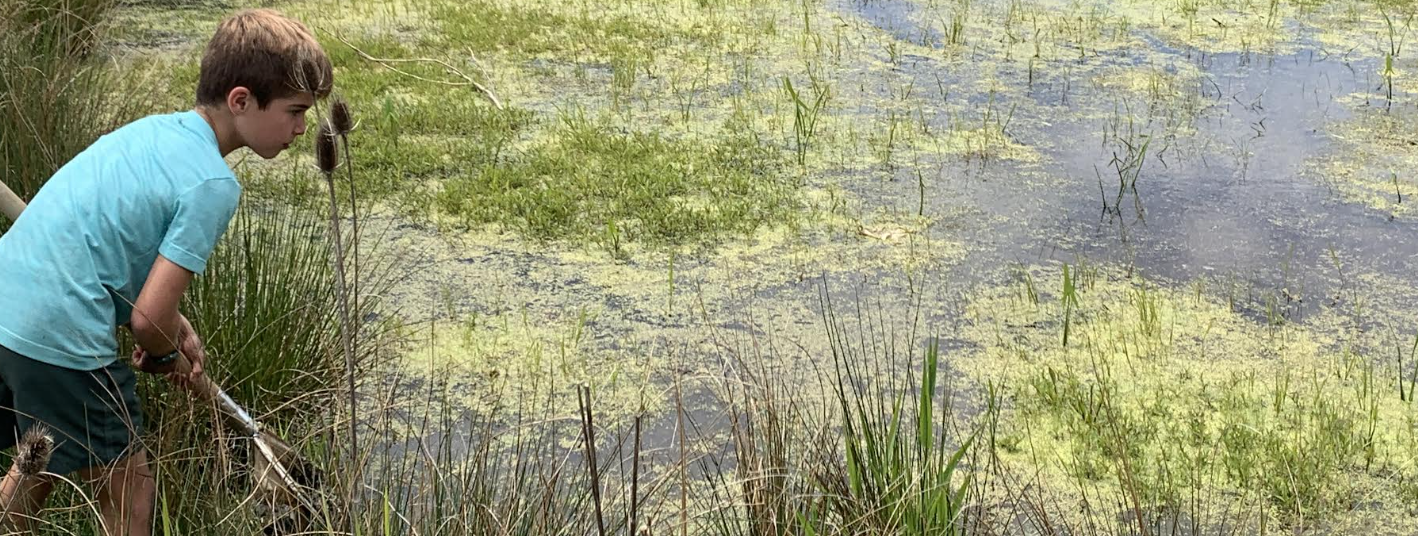 Waldschul-Newsletter: Juni 2025