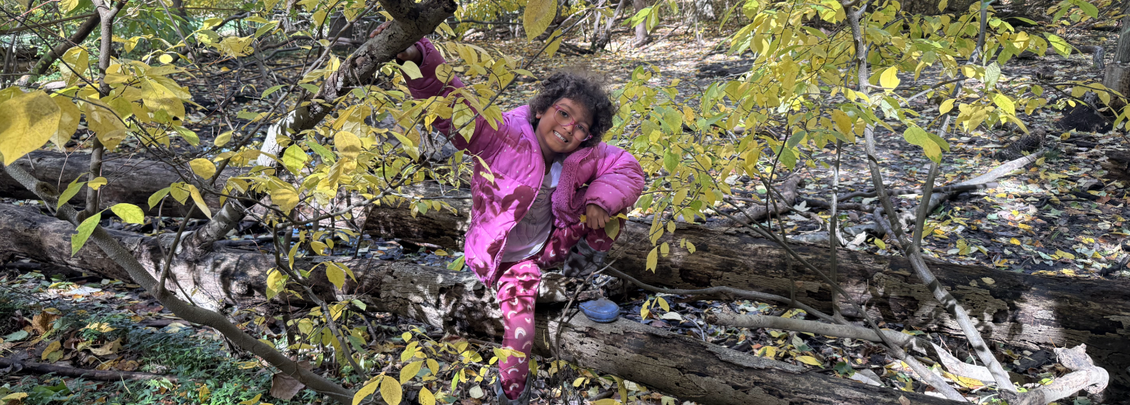 Forest School Newsletter: November 2025