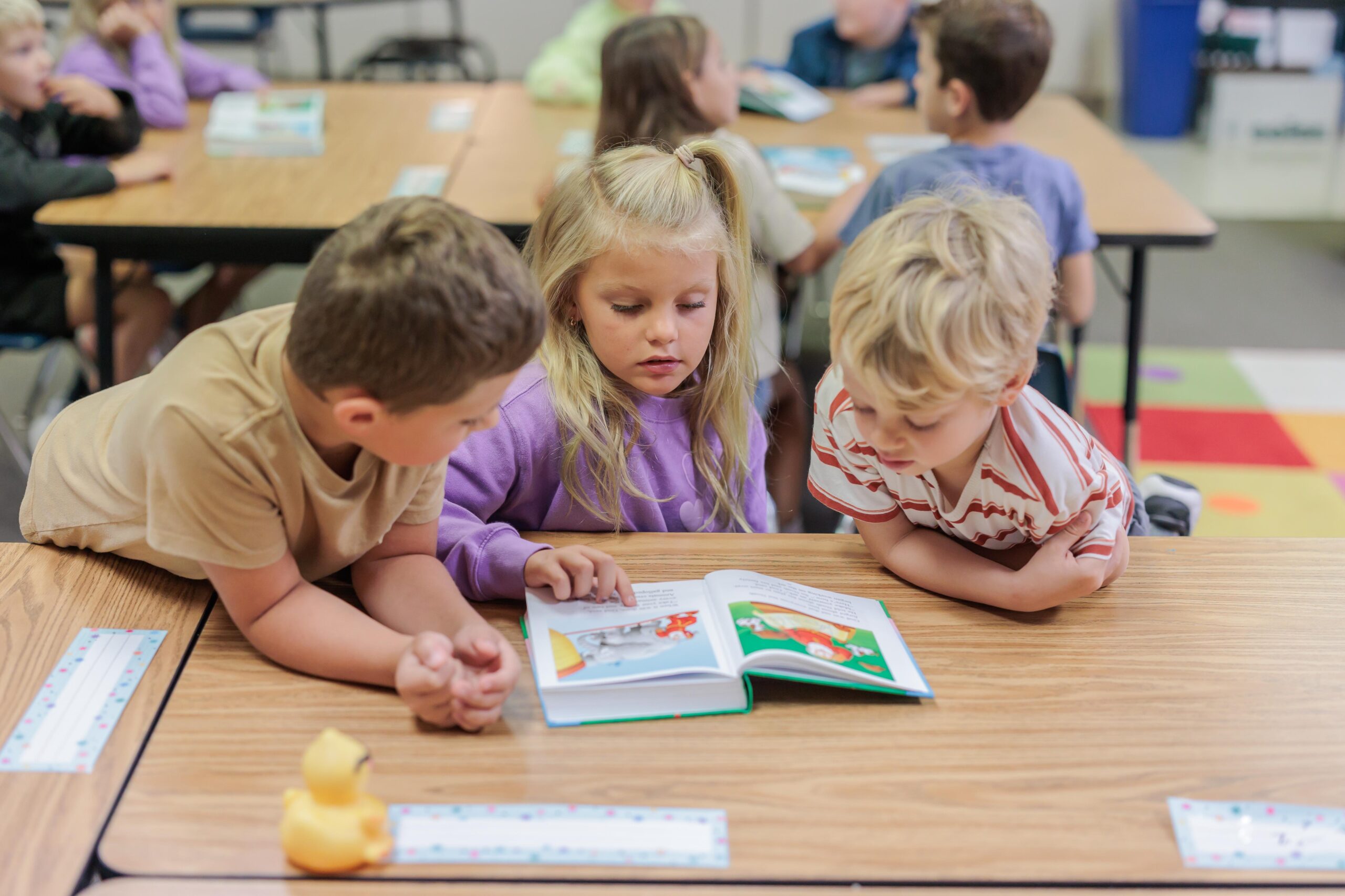 South Side Newsletter: November 2025