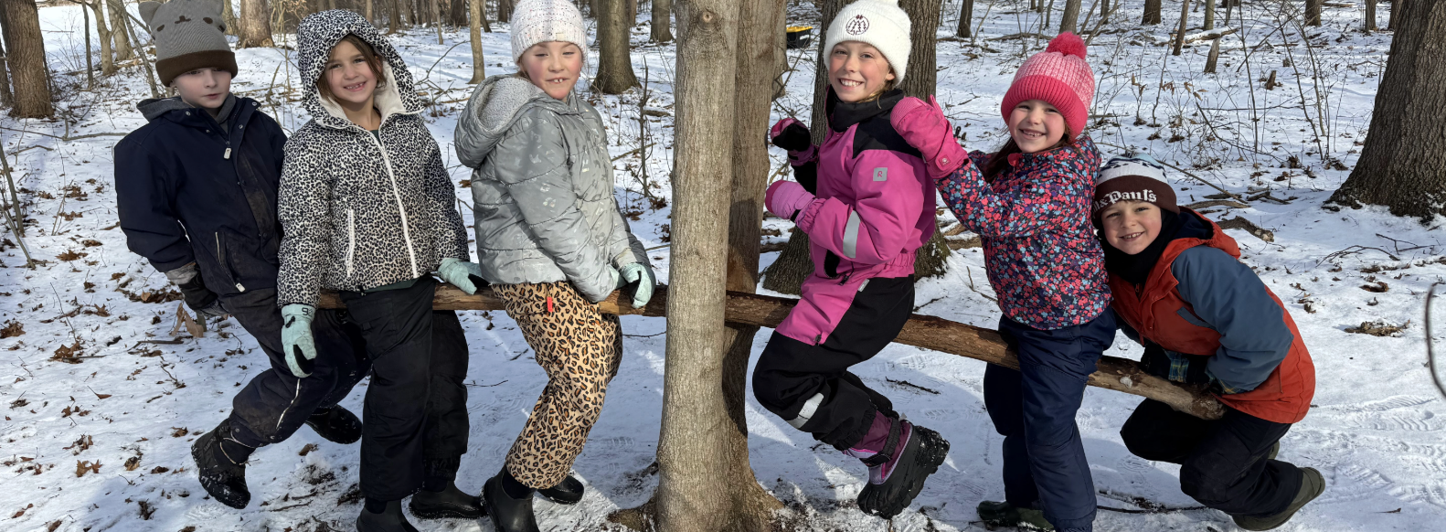 Forest School Newsletter: February 2026